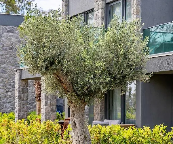 Yazlık Villa